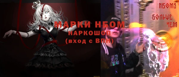 сатива Алзамай