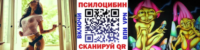 купить закладку  shop Telegram  Псилоцибиновые грибы Magic Shrooms  Чердынь 